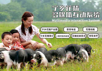 寧鄉花豬多媒體互動系統